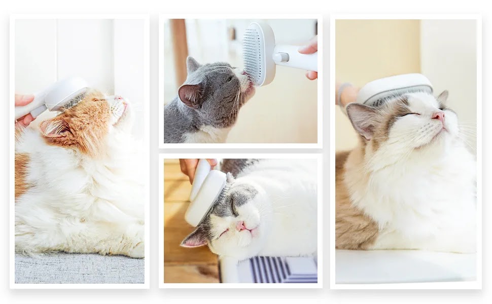 Aumuca Cat Brush for Shedding